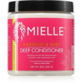 Mielle Babassu & Mint balsam hidratant 227 g