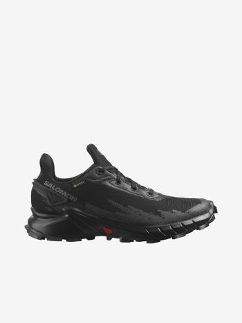 Salomon Alphacross 4 GTX Teniși Negru