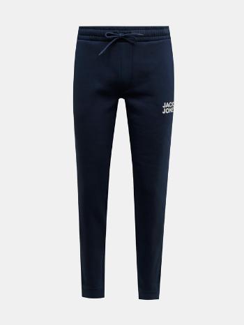 Jack & Jones Gordon Pantaloni de trening Albastru