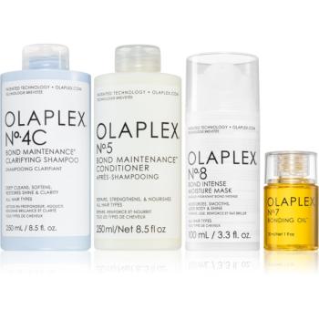 Olaplex The Ultimate Detox & Hydrate Kit set (pentru păr uscat și deteriorat)