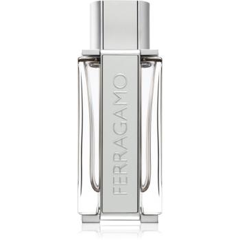 Ferragamo Ferragamo Bright Leather Eau de Toilette pentru bărbați 100 ml