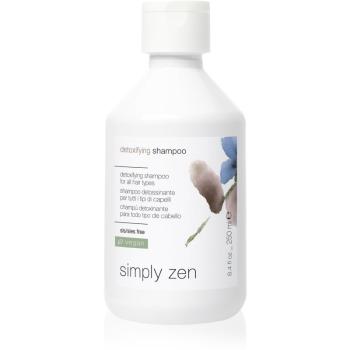 Simply Zen Detoxifying șampon detoxifiant pentru curățare pentru toate tipurile de păr 250 ml