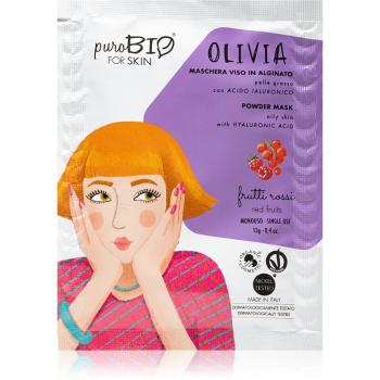 puroBIO Cosmetics Olivia Red Fruits mască exfoliantă în pulbere 13 g