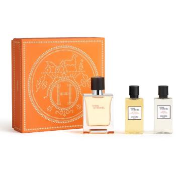 HERMÈS Terre d’Hermès Set set cadou II. pentru bărbați