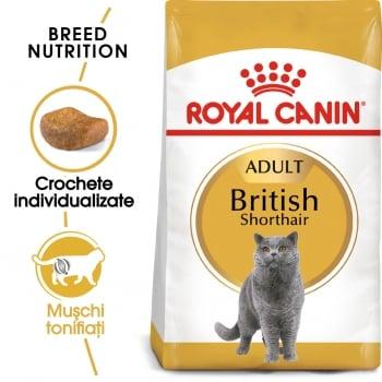 Royal Canin British Shorthair Adult, pachet economic hrană uscată pisici, 2kg x 2