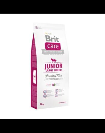 BRIT Care Junior Large Breed Lamb&amp;Rice hrana uscata caini juniori de talie mare, cu miel si orez 12 kg