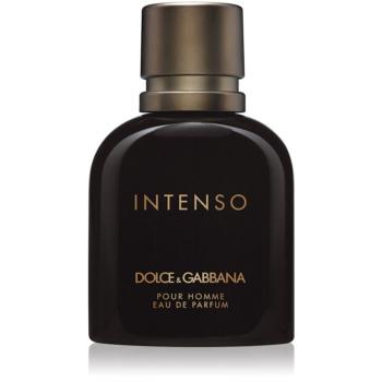 Dolce & Gabbana Pour Homme Intenso Eau de Parfum pentru bărbați 40 ml