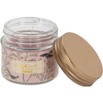 Lumânare în sticlă Scented candle Winter forest, 6,2 x 5,5 cm