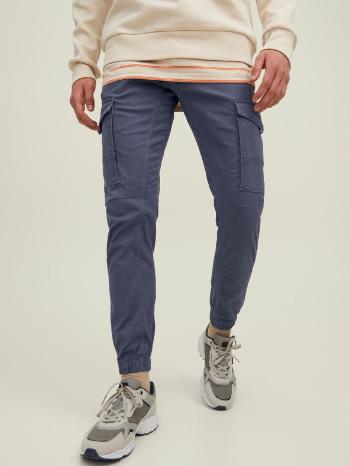 Jack & Jones Paul Pantaloni Albastru