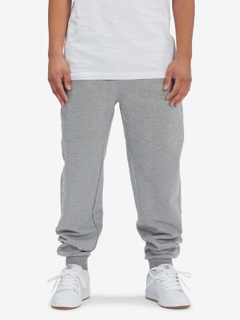 DC Riot Pantaloni de trening Gri