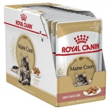 Royal Canin Maine Coon Adult, bax hrană umedă pisici, (în sos), 85g x 12