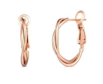 Vuch Cercei rotunzi originali bronz Aster Rose Gold