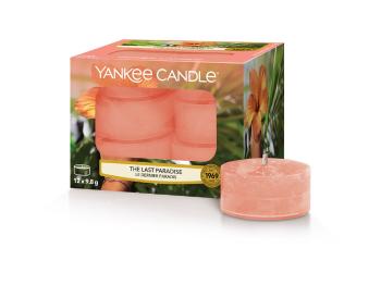 Yankee Candle Lumânare de ceai aromatică The Last Paradise 12 x 9,8 g