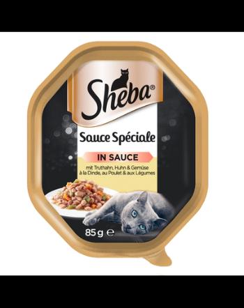 SHEBA Sauce Speciale 85 gx22 z Indykiem, Kurczakiem i Warzywami - mokra karma dla kotów + 6x50g Fresh &amp; Fine GRATIS