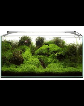 AQUAEL Leddy Slim 32W Plant 80-100 cm