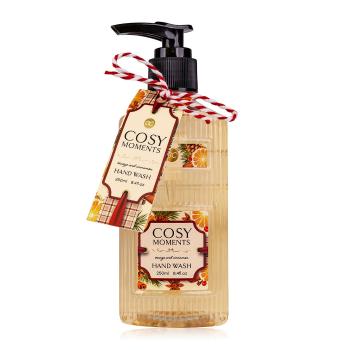 Accentra Săpun lichid pentru mâini Cosy Moments (Hand Wash) 250 ml