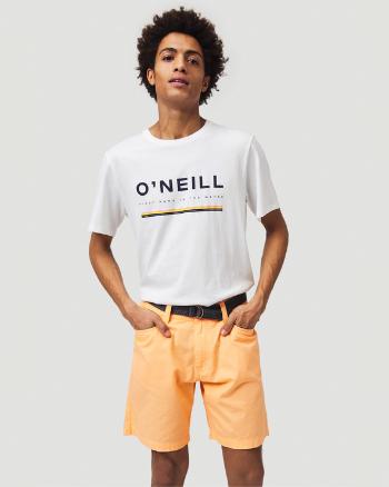 O'Neill Roadtrip Pantaloni scurți Portocaliu