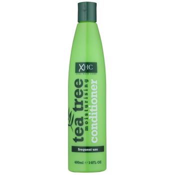 Tea Tree Hair Care balsam hidratant pentru utilizarea de zi cu zi 400 ml