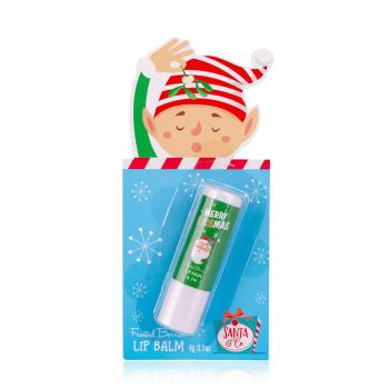 Accentra Balsam de buze Santa & Co (Lip Balm) 4 g