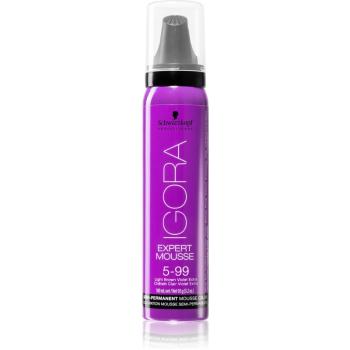 Schwarzkopf Professional IGORA Expert Mousse vopsea de par sub forma de spuma pentru păr culoare 5-99 Light Brown Violet Extra 100 ml