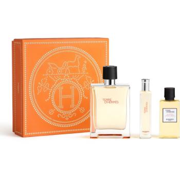 HERMÈS Terre d’Hermès Set set cadou III. pentru bărbați