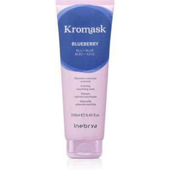 Inebrya Kromask mască intens colorantă culoare Blueberry 250 ml