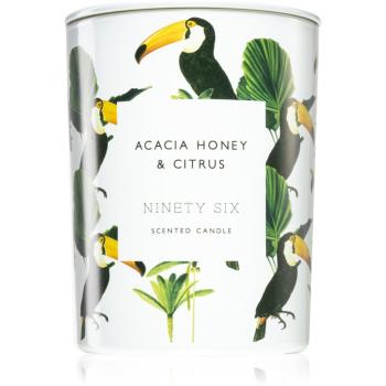 DW Home Ninety Six Acacia Honey & Citrus lumânare parfumată 413 g