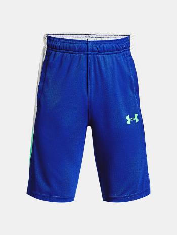 Under Armour UA Baseline Mfo Pantaloni scurţi pentru copii Albastru