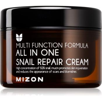 Mizon Multi Function Formula  Snail crema regeneratoare cu extract de melc 92% 120 ml