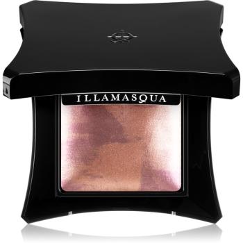 Illamasqua Beyond Powder Pudra compacta ce ofera luminozitate culoare Risque 7 g