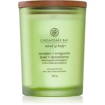 Chesapeake Bay Candle Mind & Body Awaken & Invigorate lumânare parfumată 250 g