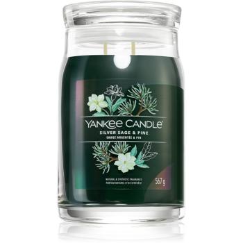 Yankee Candle Silver Sage & Pine lumânare parfumată Signature 567 g