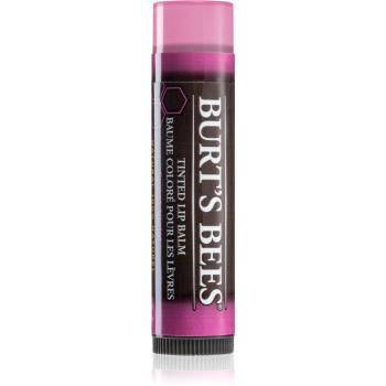 Burt’s Bees Tinted Lip Balm balsam de buze culoare Sweet Violet 4.25 g