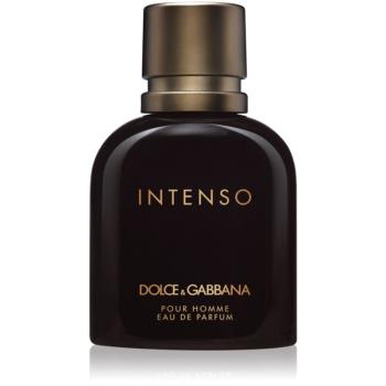 Dolce & Gabbana Pour Homme Intenso Eau de Parfum pentru bărbați 75 ml