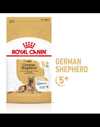 ROYAL CANIN German Shepherd Adult 5+ 12 kg karma sucha dla dorosłych psów rasy owczarek niemiecki, powyżej 5 roku życia + wiadro półksiężyc gratis