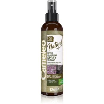 Delia Cosmetics Cameleo Natural conditioner Spray Leave-in 200 ml