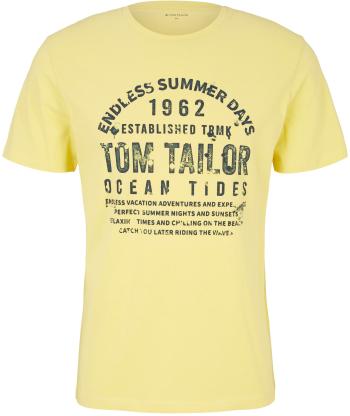 Tom Tailor Tricou pentru bărbați Regular Fit 1031567.11130 S