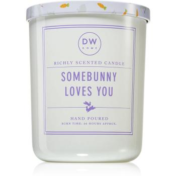 DW Home Signature Somebunny Loves You lumânare parfumată 434 g