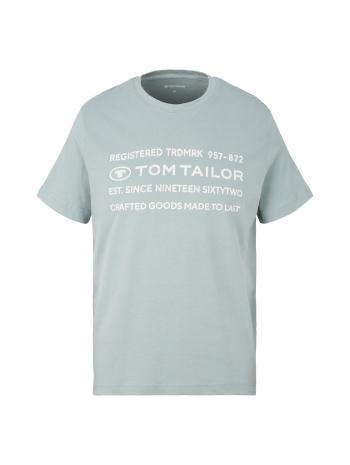 Tom Tailor Tricou pentru bărbați Regular Fit 1034398.28129 M