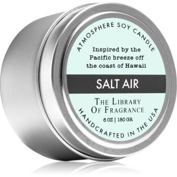 The Library of Fragrance Salt Air lumânare parfumată 180 g