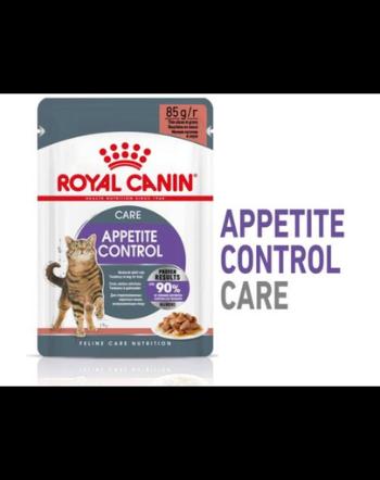 ROYAL CANIN Appetite Control Gravy, hrana umeda pentru pisici adulte cu apetit excesiv,12x85 g