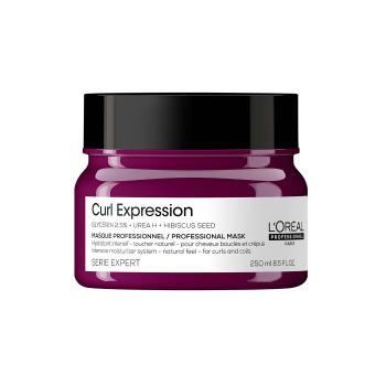 L´Oréal Professionnel Mască hidratantă intensivă pentru păr creț și ondulat Curl Expression Intensive Moisturizing (Professional Mask) 250 ml