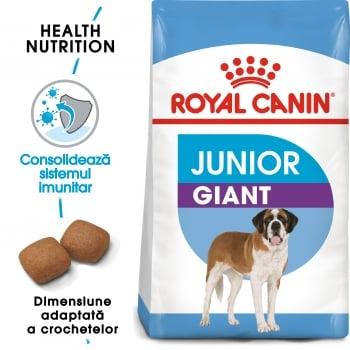 Royal Canin Giant Junior, pachet economic hrană uscată câini junior, etapa 2 de creștere, 15kg x 2