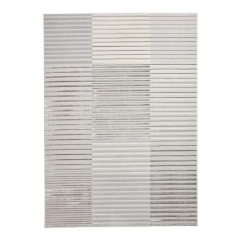 Covor gri/bej 220x160 cm Apollo - Think Rugs