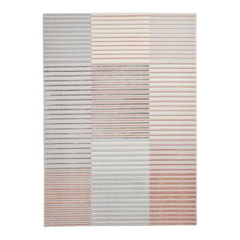 Covor roz/gri deschis 80x150 cm Apollo – Think Rugs