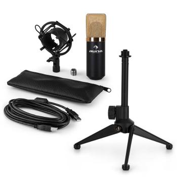 Auna MIC-900BG-LED V1, set de microfon usb, microfon condensator negru-auriu + suport de masă