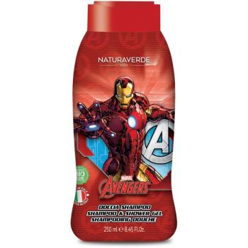 Marvel Avengers Ironman Shampoo and Shower Gel gel de dus si sampon 2in1 pentru copii 250 ml