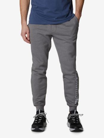 Columbia Logo™ Fleece Jogger II Pantaloni de trening Gri