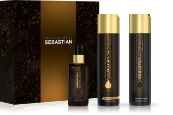 Sebastian Professional Set cadou de îngrijire hrănitoare pentru strălucirea părului Dark Oil