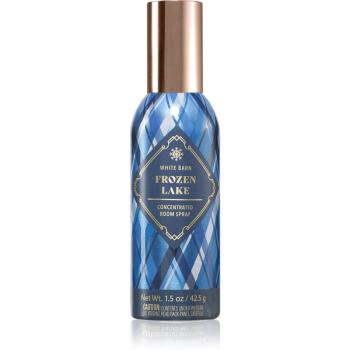 Bath & Body Works Frozen Lake spray pentru camera 42,5 g